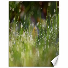 Drops Canvas 12  X 16  (unframed) by Siebenhuehner