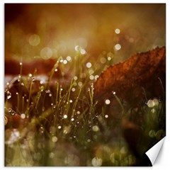 Waterdrops Canvas 12  X 12  (unframed) by Siebenhuehner