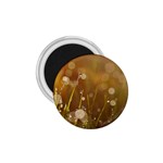 Waterdrops 1.75  Button Magnet