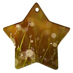 Waterdrops Star Ornament