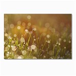 Waterdrops Postcard 4 x 6  (10 Pack)