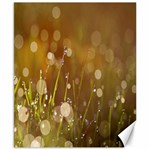 Waterdrops Canvas 8  x 10  (Unframed)