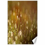 Waterdrops Canvas 12  x 18  (Unframed)