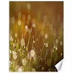 Waterdrops Canvas 18  x 24  (Unframed)