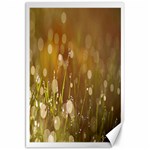 Waterdrops Canvas 20  x 30  (Unframed)