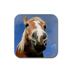 Haflinger  Drink Coaster (square) by Siebenhuehner