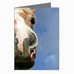 Haflinger  Greeting Card (8 Pack) by Siebenhuehner