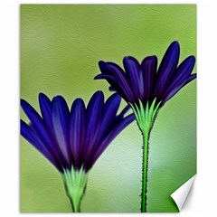 Osterspermum Canvas 20  X 24  (unframed) by Siebenhuehner