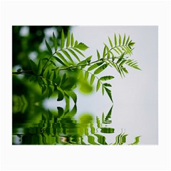 Leafs With Waterreflection Glasses Cloth (small) by Siebenhuehner
