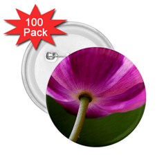 Poppy 2 25  Button (100 Pack) by Siebenhuehner