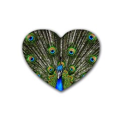 Peacock Drink Coasters 4 Pack (heart)  by Siebenhuehner