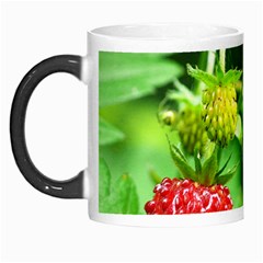 Strawberry  Morph Mug by Siebenhuehner