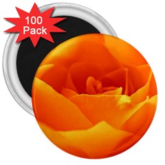 Rose 3  Button Magnet (100 Pack) by Siebenhuehner