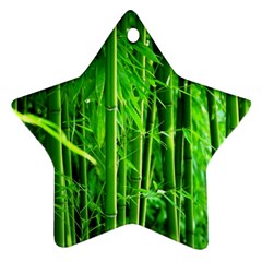 Bamboo Star Ornament (two Sides) by Siebenhuehner