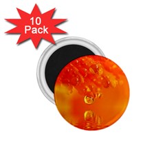 Waterdrops 1 75  Button Magnet (10 Pack) by Siebenhuehner