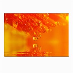 Waterdrops Postcard 4 x 6  (10 Pack) by Siebenhuehner