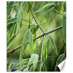 Bamboo Canvas 20  X 24  (unframed) by Siebenhuehner