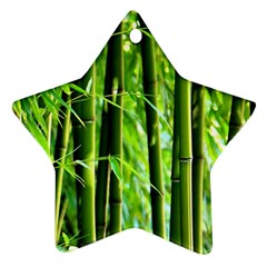 Bamboo Star Ornament (two Sides) by Siebenhuehner