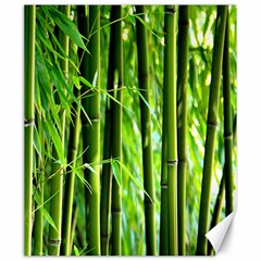 Bamboo Canvas 20  X 24  (unframed) by Siebenhuehner