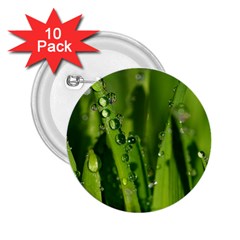 Grass Drops 2 25  Button (10 Pack) by Siebenhuehner