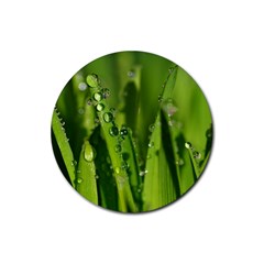 Grass Drops Drink Coaster (round) by Siebenhuehner