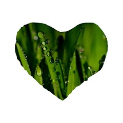Grass Drops 16  Premium Heart Shape Cushion  by Siebenhuehner