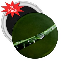 Grass Drops 3  Button Magnet (10 Pack)