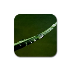 Grass Drops Drink Coasters 4 Pack (square)