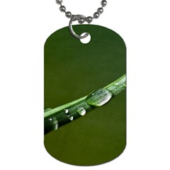 Grass Drops Dog Tag (two-sided) 