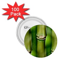 Bamboo 1 75  Button (100 Pack)