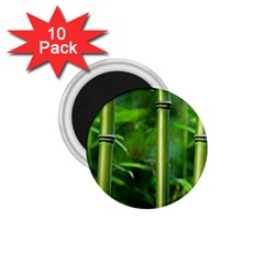 Bamboo 1 75  Button Magnet (10 Pack)