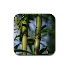 Bamboo Drink Coaster (square) by Siebenhuehner