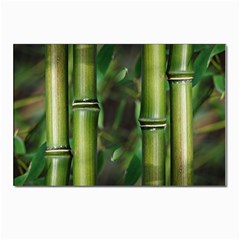 Bamboo Postcards 5  X 7  (10 Pack)