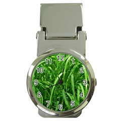 Grass Money Clip With Watch by Siebenhuehner