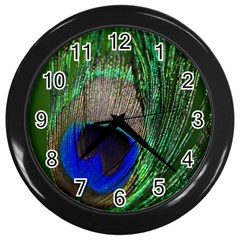 Peacock Wall Clock (black) by Siebenhuehner