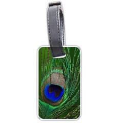 Peacock Luggage Tag (one Side) by Siebenhuehner