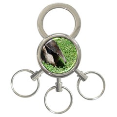 Giant Anteater 3-ring Key Chain