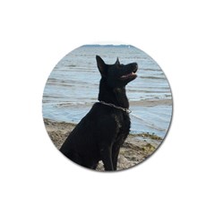 Black German Shepherd Magnet 3  (round) by StuffOrSomething