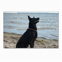 Black German Shepherd Postcard 4 x 6  (10 Pack) by StuffOrSomething