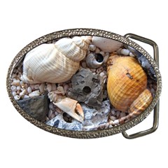 Beach Treasures Belt Buckle (oval) by StuffOrSomething