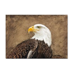 Eagle A4 Sticker 100 Pack by TonyaButcher