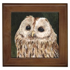 Tawny Owl Framed Ceramic Tile by TonyaButcher