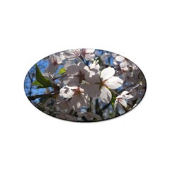 Cherry Blossoms Sticker (oval) by DmitrysTravels