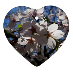 Cherry Blossoms Heart Ornament (two Sides) by DmitrysTravels