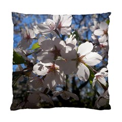 Cherry Blossoms Cushion Case (single Sided)  by DmitrysTravels