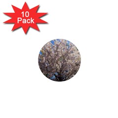 Cherry Blossoms Tree 1  Mini Button Magnet (10 Pack) by DmitrysTravels