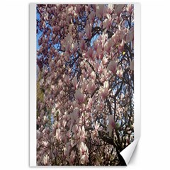 Sakura Canvas 20  X 30  (unframed) by DmitrysTravels