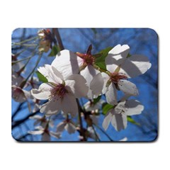 Cherry Blossoms Small Mouse Pad (rectangle) by DmitrysTravels