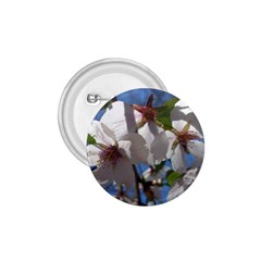 Cherry Blossoms 1 75  Button