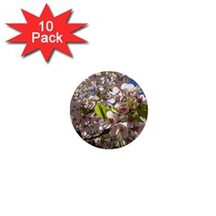 Cherry Blossoms 1  Mini Button (10 Pack) by DmitrysTravels